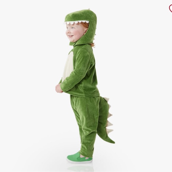Pottery Barn Kids Green Dinosaur Costume - Picture 2 of 5